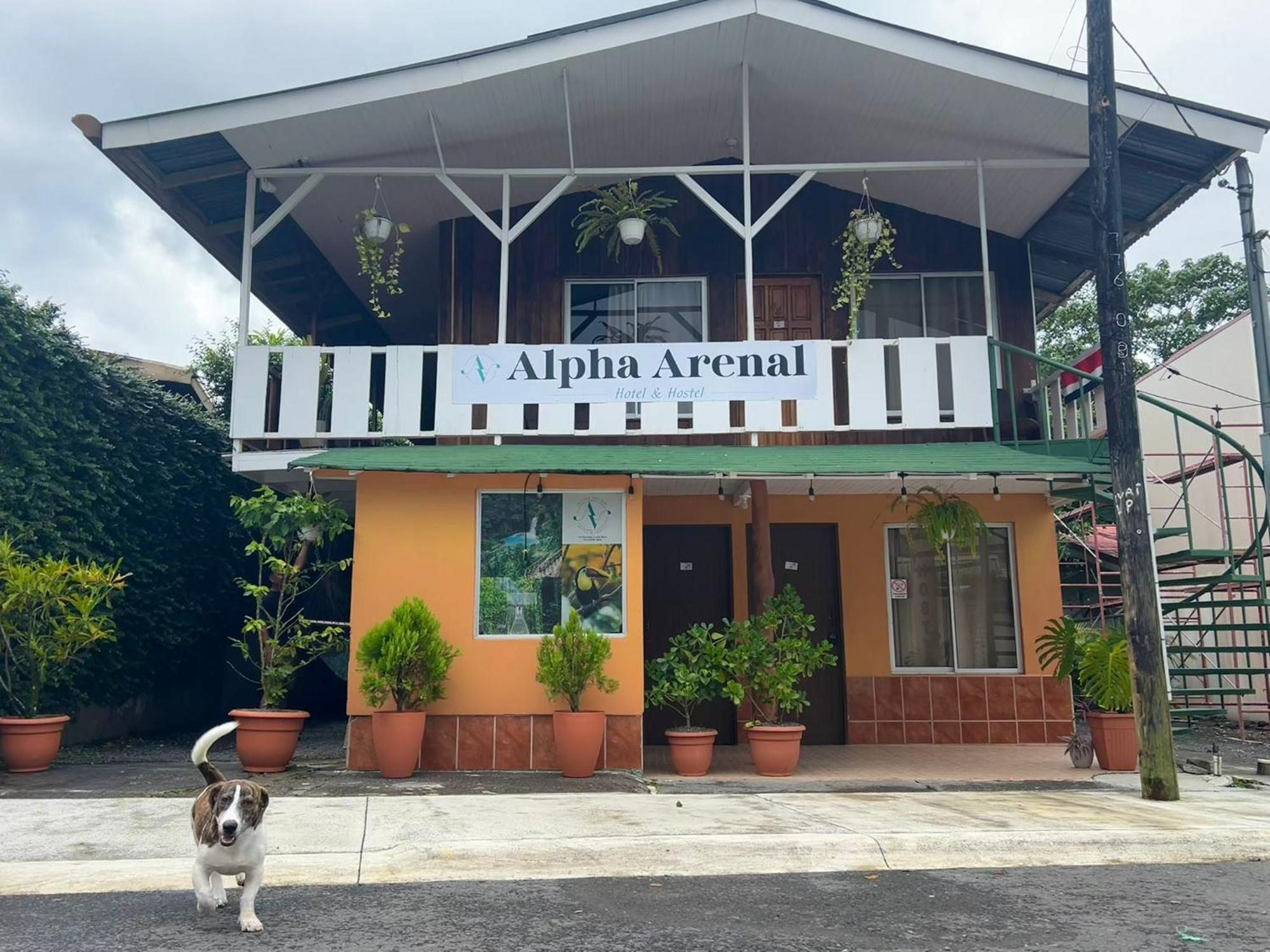 Alpha Arenal Hostel La Fortuna Zewnętrze zdjęcie